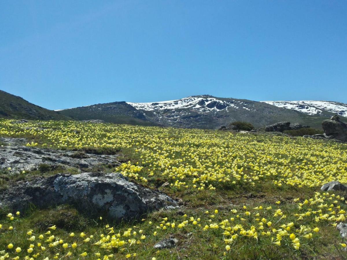 Apartamento Orgaz Candelario Exteriör bild